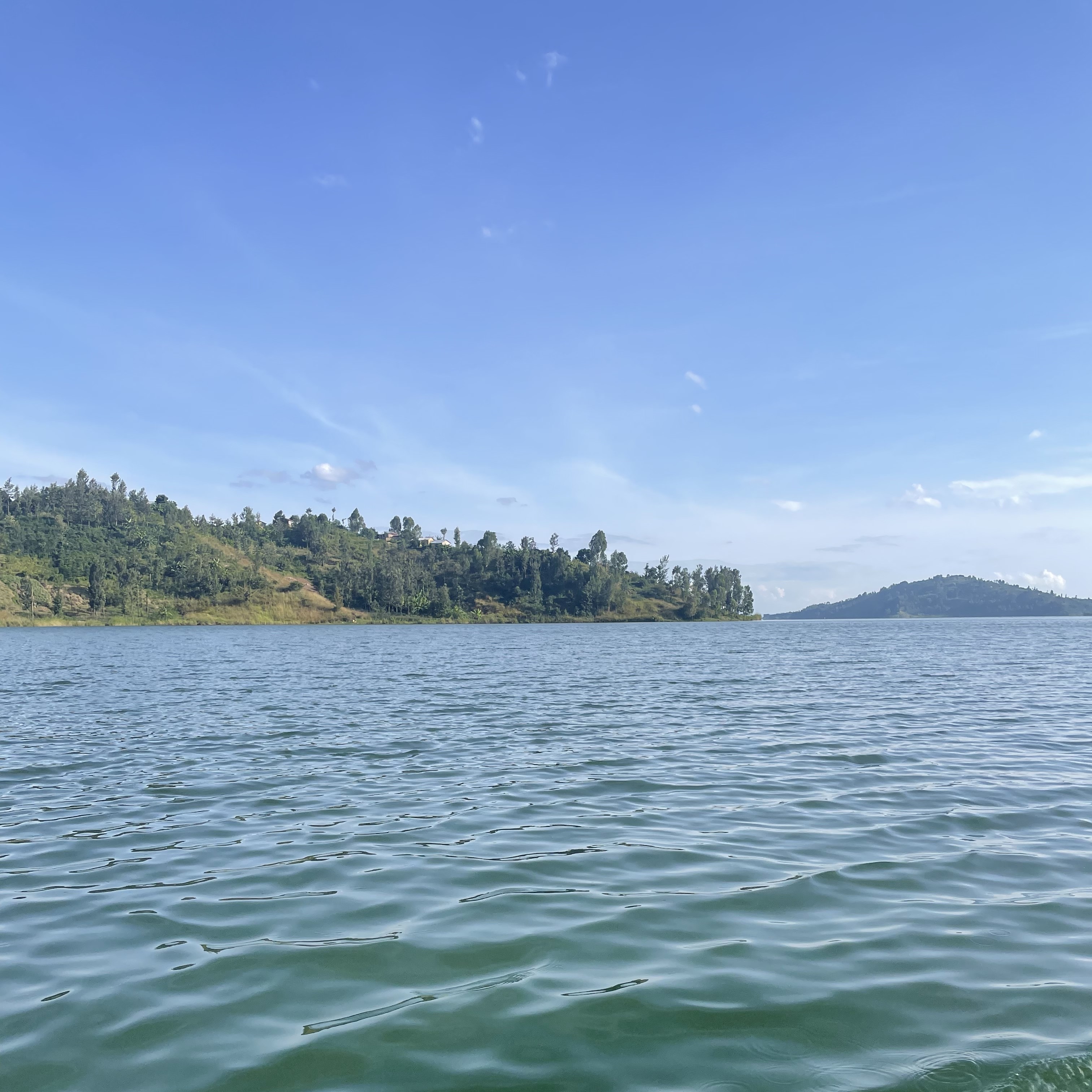 [25%OFF] カット無し、ルワンダ cbj_s117_er カブアンド (@kabuand_jp) / X